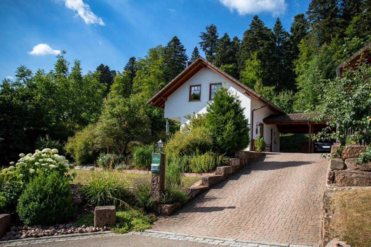 Schwarzwald Chalets Freudenstadt Esterno foto